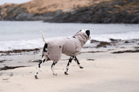 Non-Stop Dogwear Drying Coat
